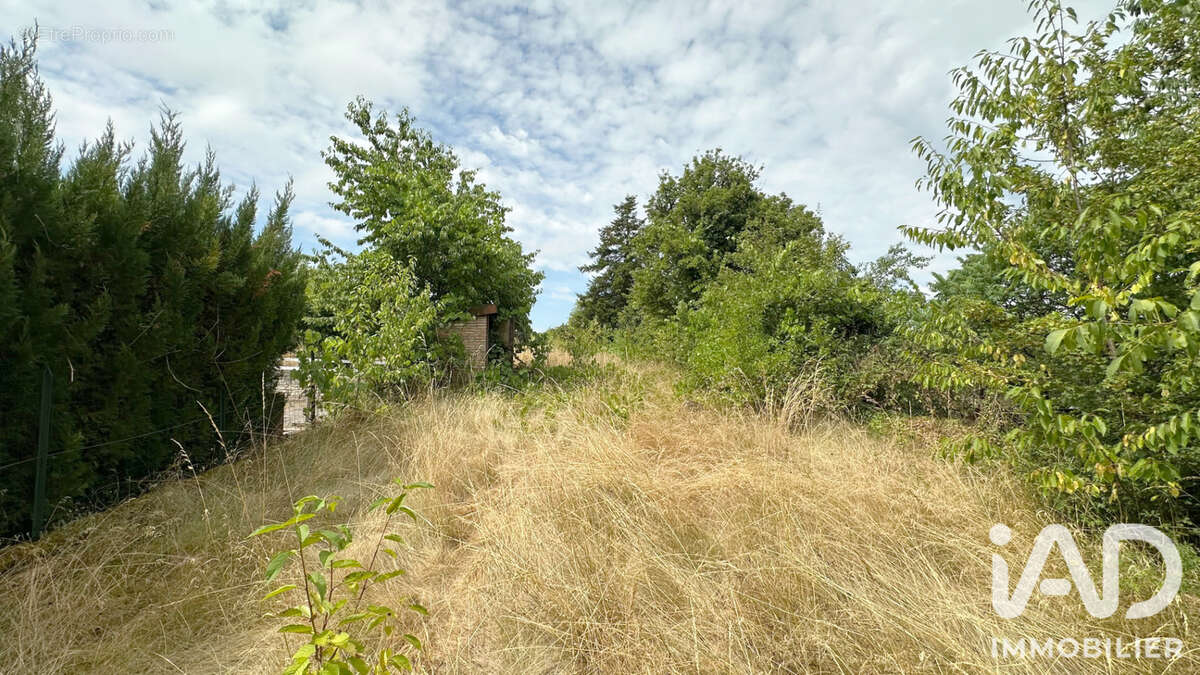 Maison 80 m² à Cendrey  - photo 3