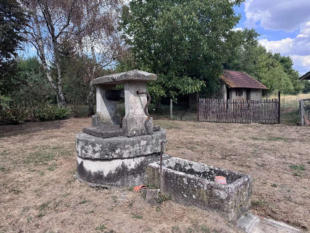 Ferme bressane avec dépendances et 1 hectare - photo 5