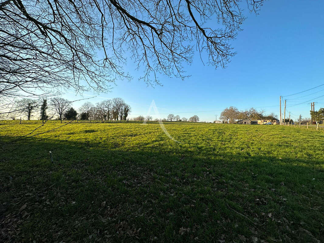 Terrain à bâtir 1250 m² - photo 2