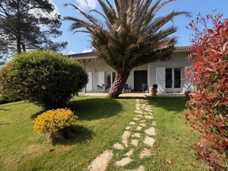 Maison à AIGNAN