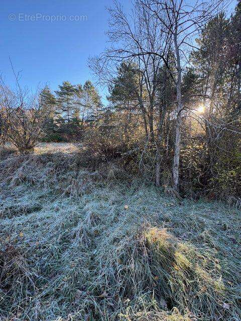 Terrain à SAINT-SAUVEUR