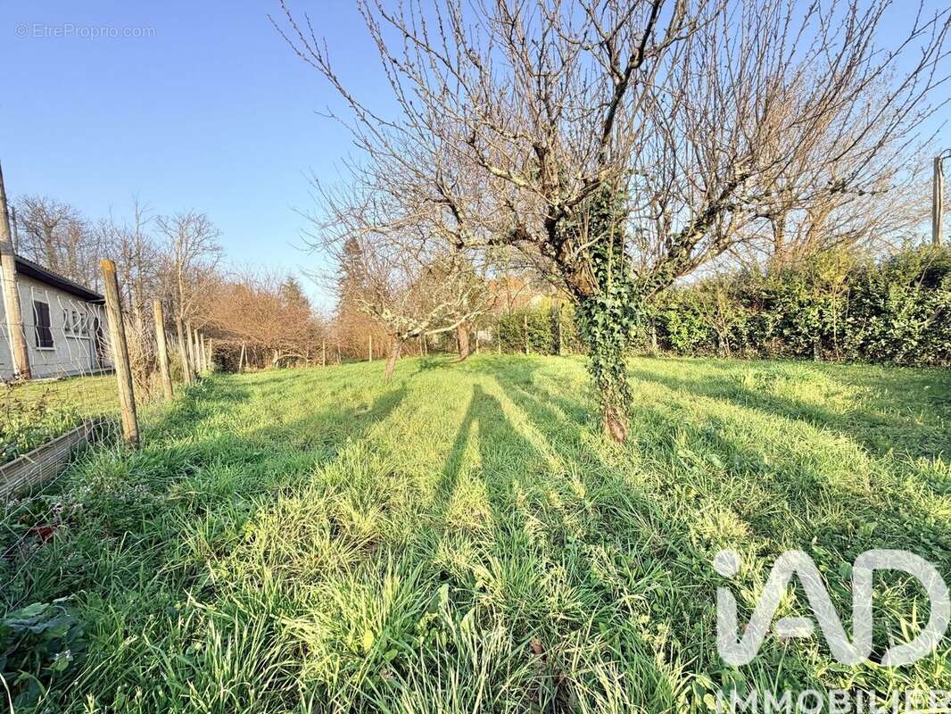 Photo 2 - Terrain à SAINT-GERMAIN-DU-PUCH