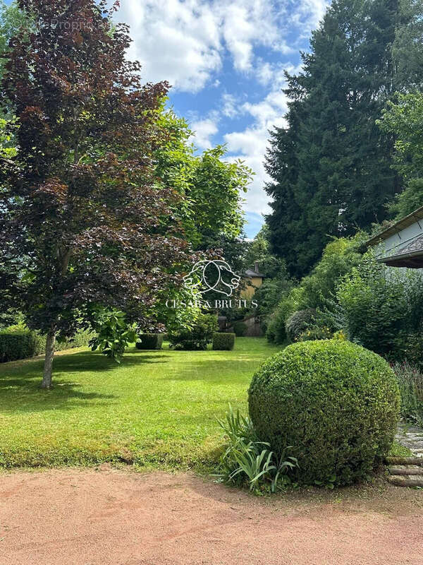 Autre à SAINT-PIERRE-LE-VIEUX
