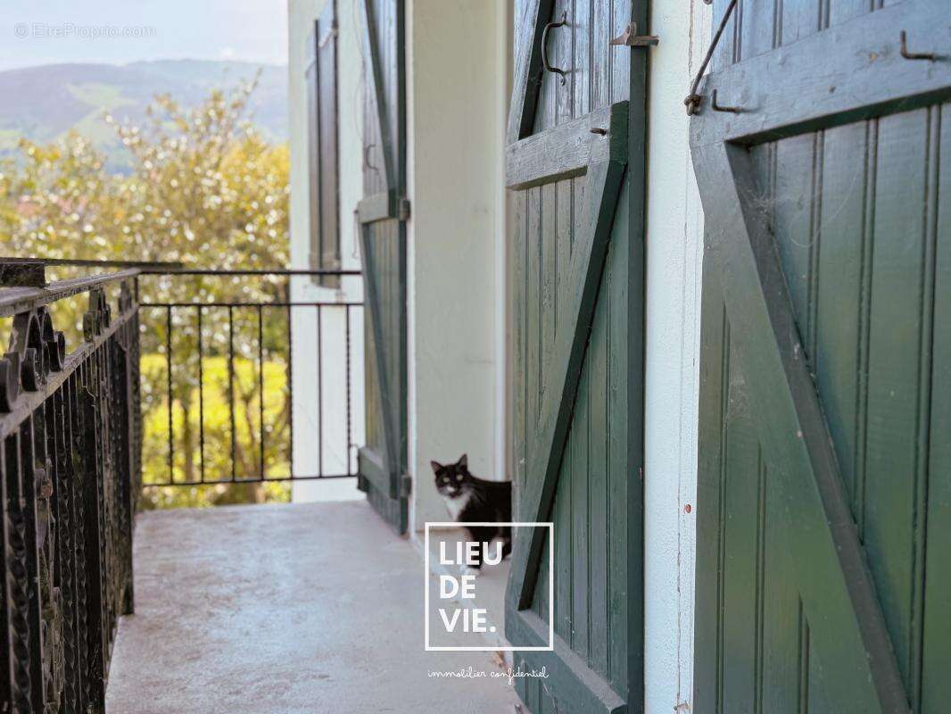 Appartement à ASCAIN