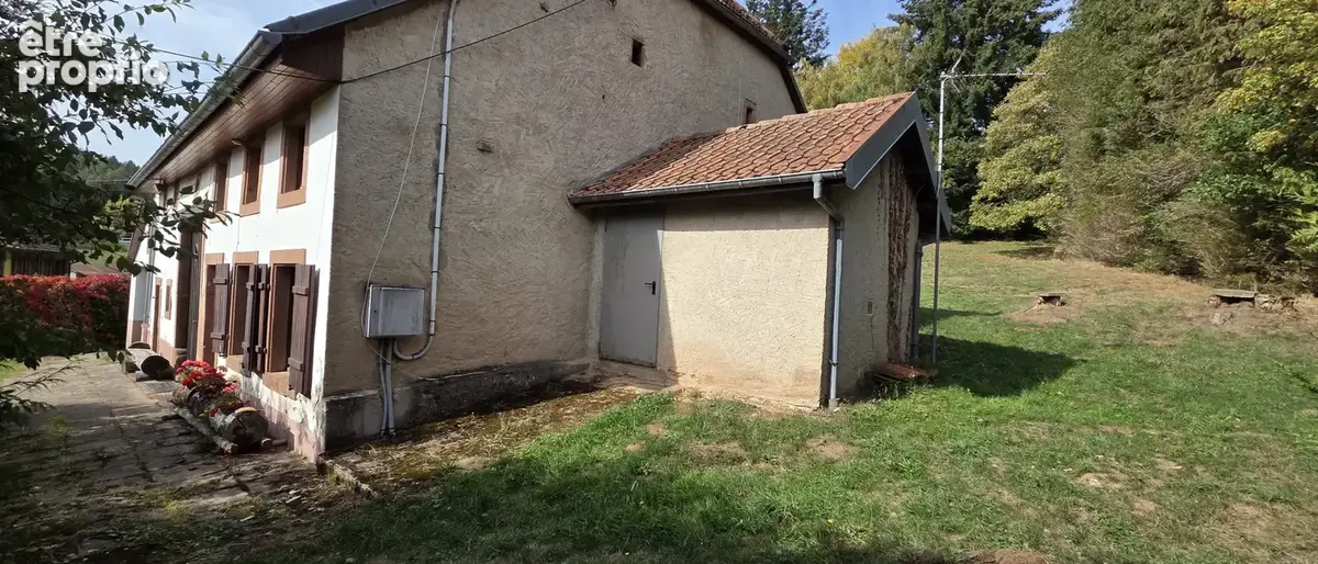 Plaine, ancienne ferme de 242 m2 sur 37 ares de terrain sans vis-à-vis, havre de paix absolu - photo 4