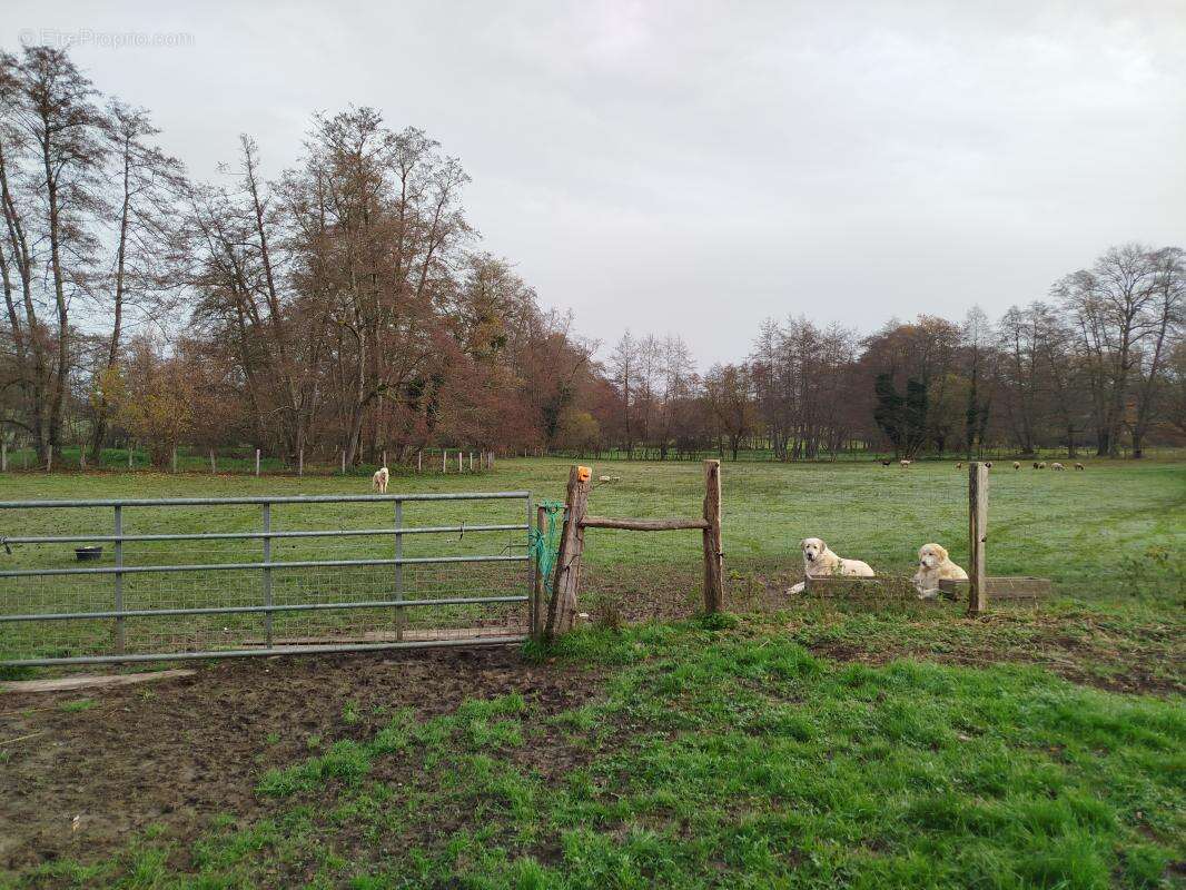 Maison à MAGNY-JOBERT