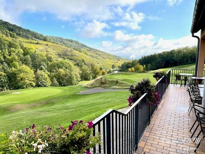 Appartement à AMMERSCHWIHR