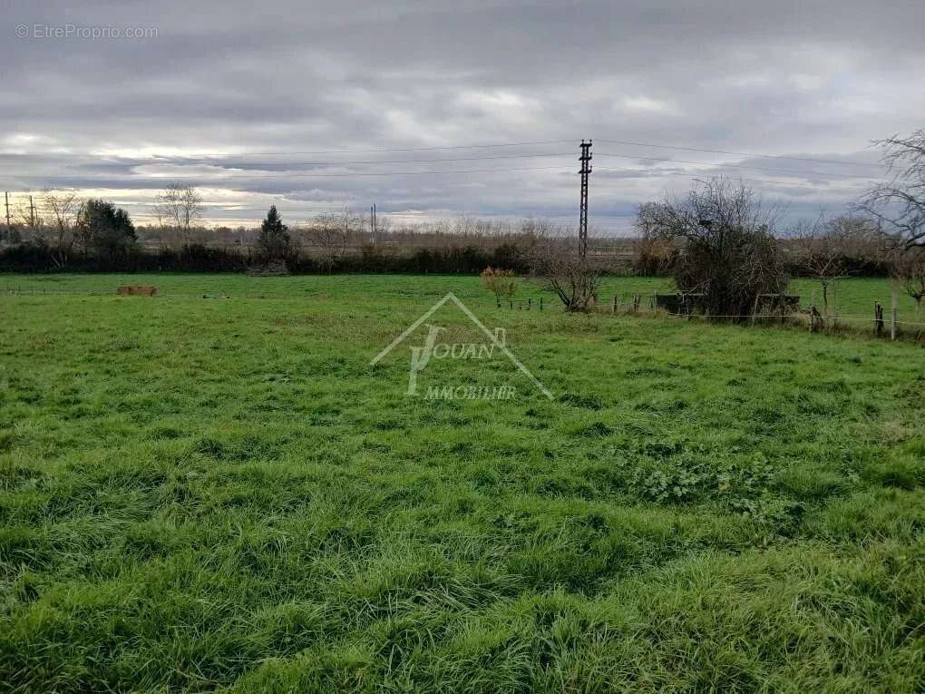 Terrain à VARENNES-SUR-ALLIER
