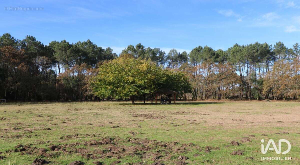 Photo 4 - Maison à SAINT-VINCENT-DE-TYROSSE