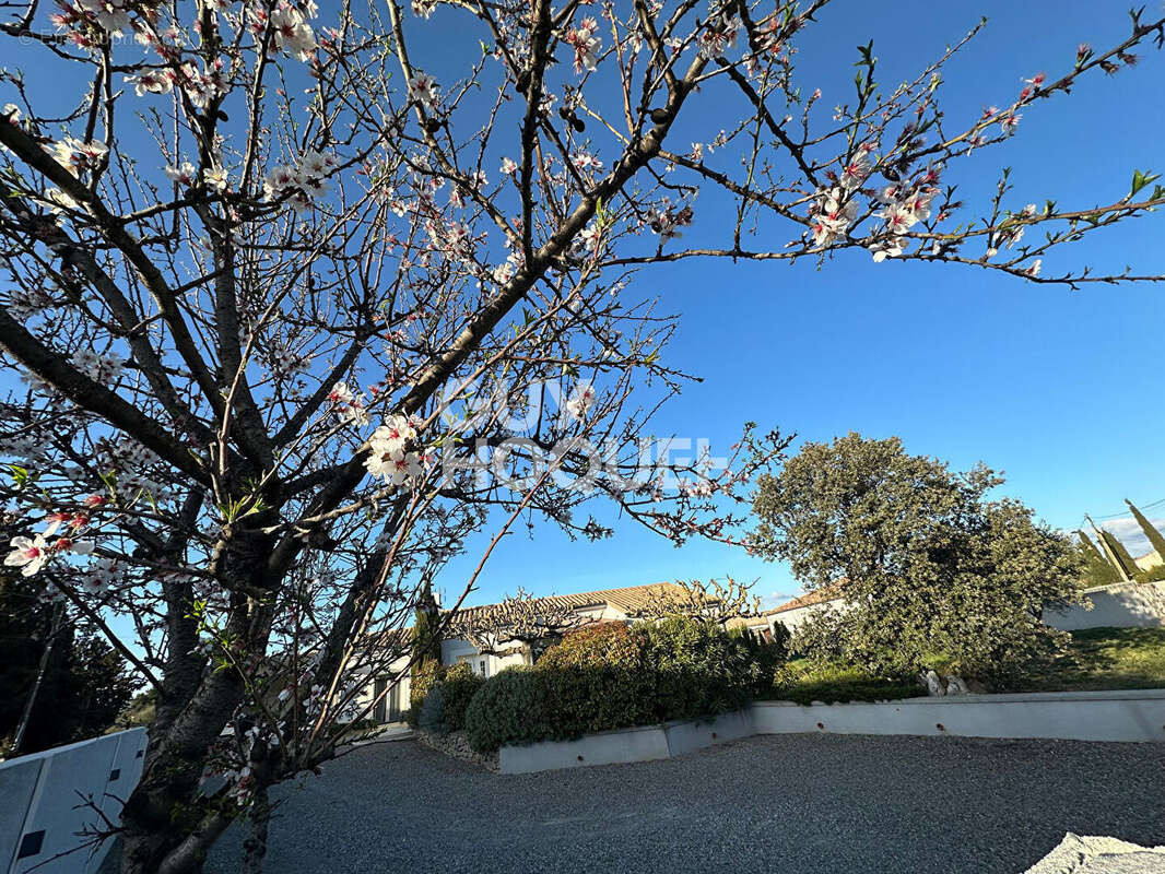 Maison à CARCASSONNE