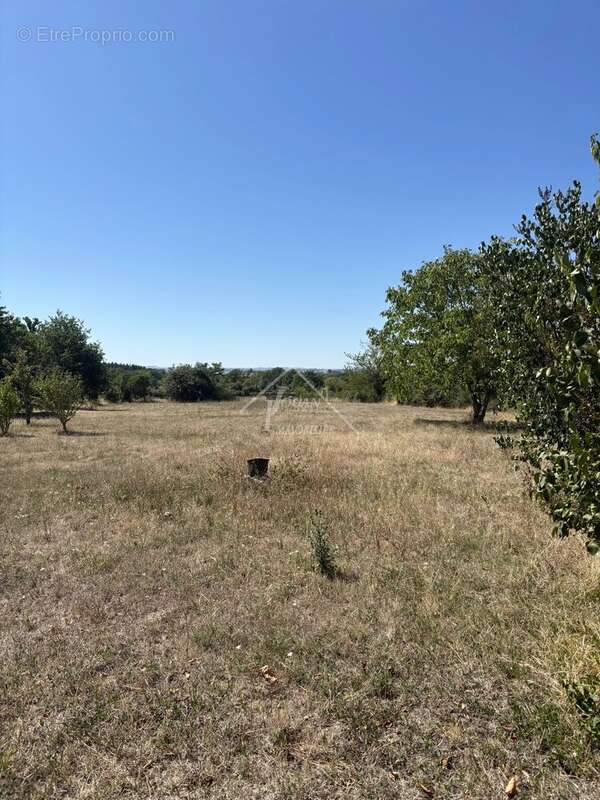 Terrain de 2334 m2 - photo 7