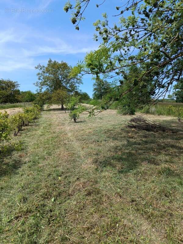 Terrain à EINVILLE-AU-JARD