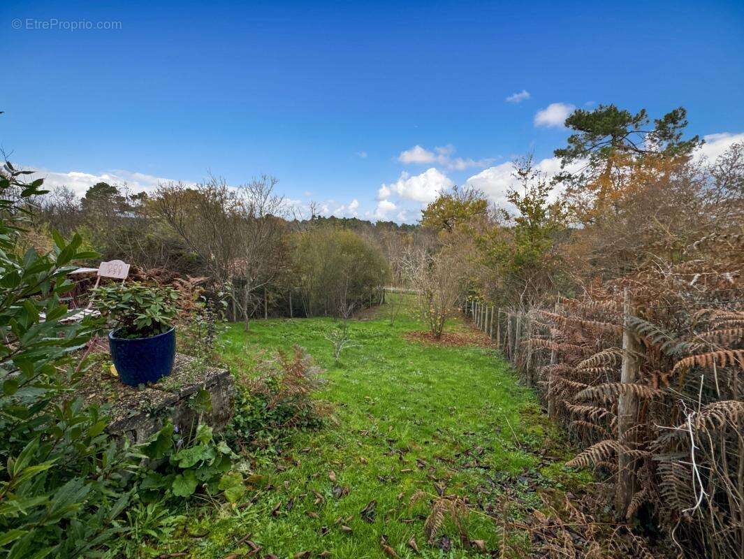Maison à CHATEAU-L&#039;EVEQUE