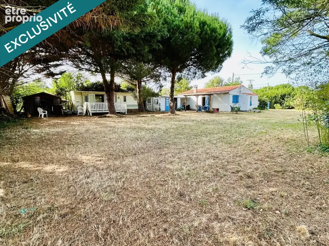 Photo 1 - Maison à SAINT-GEORGES-D'OLERON