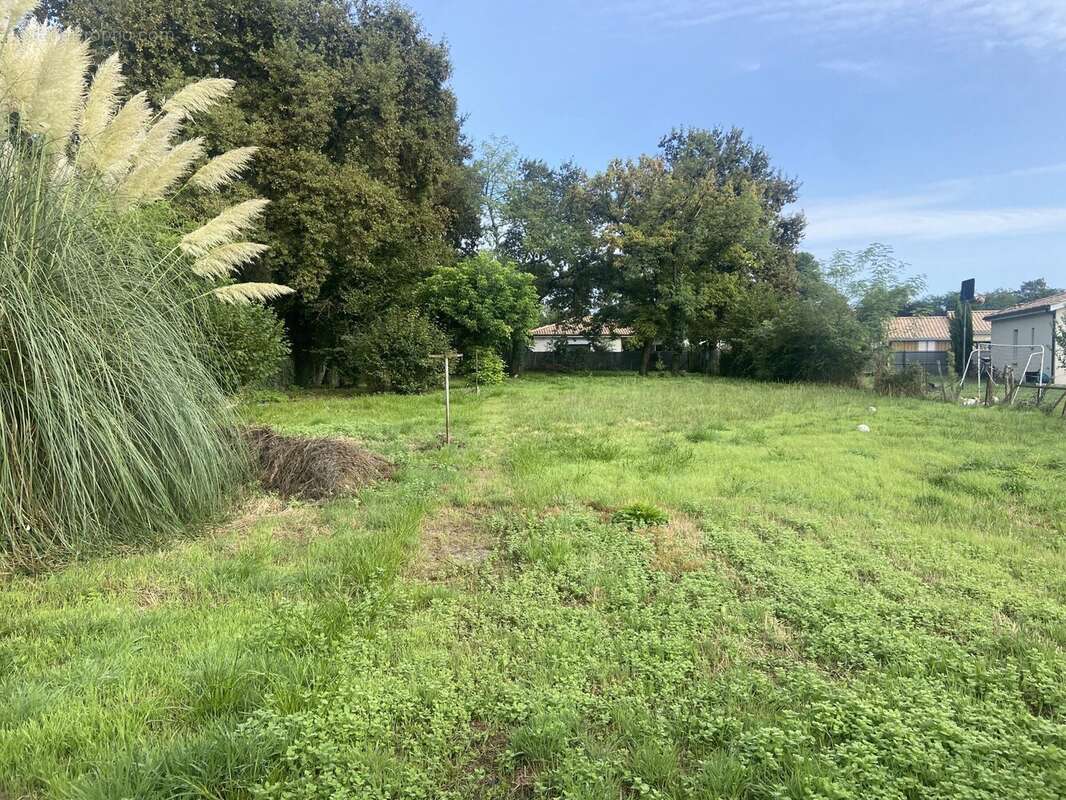 Terrain à LEOGNAN