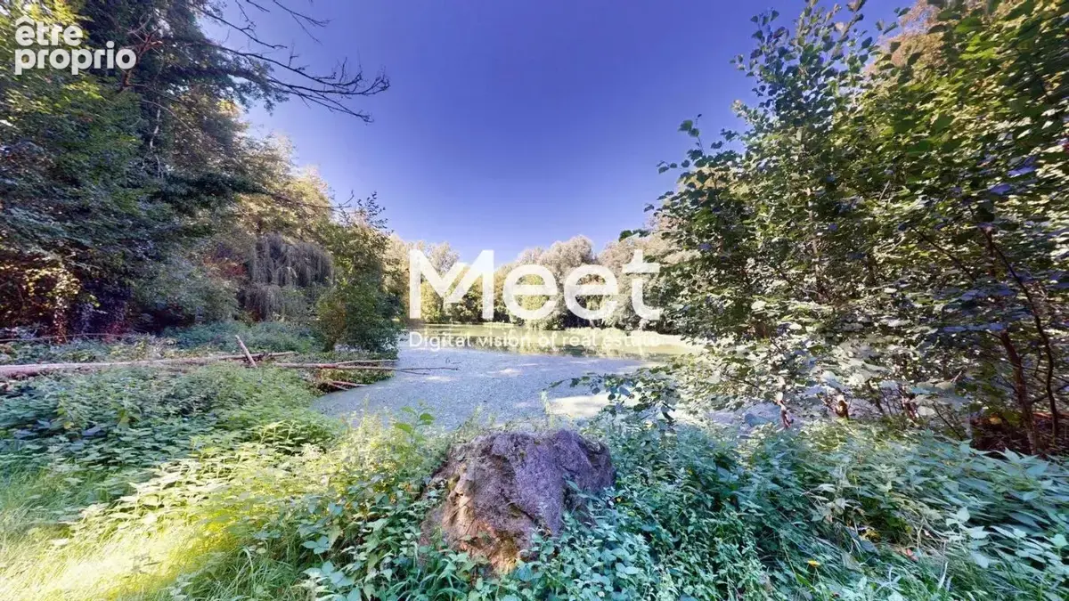 Etang de loisir - photo 2