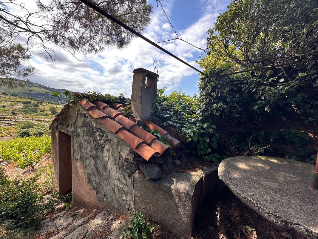 Vigne à vendre sur Collioure à 99 000€ et 10370m2 - photo 4