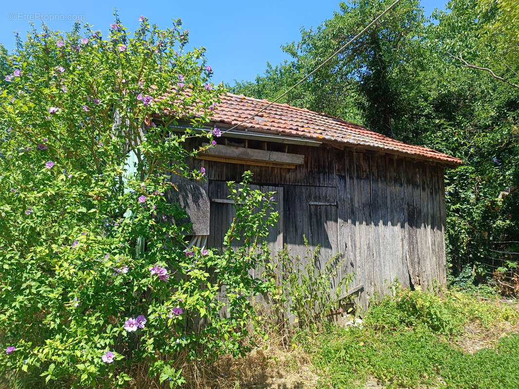 Maison à SANCERGUES