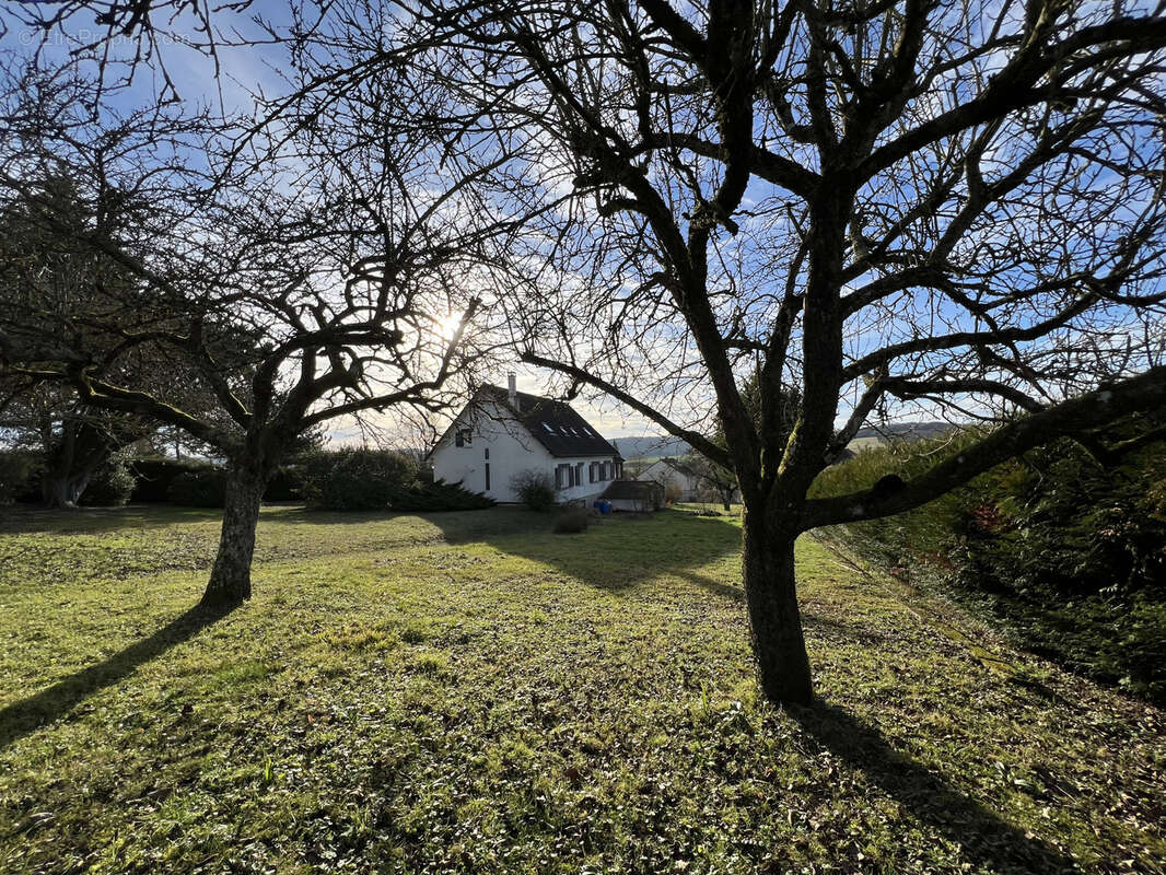 Maison à NAILLY