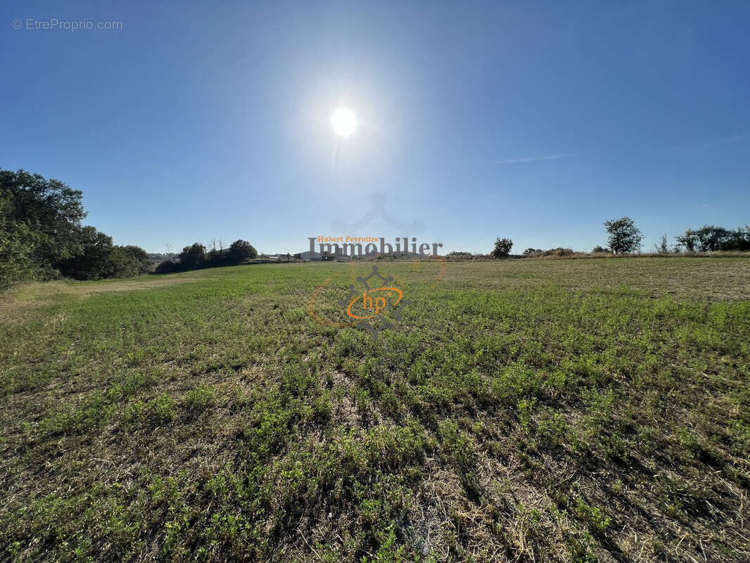 Vente hangars avec terrain Saint Victor et Melvieu - photo 11