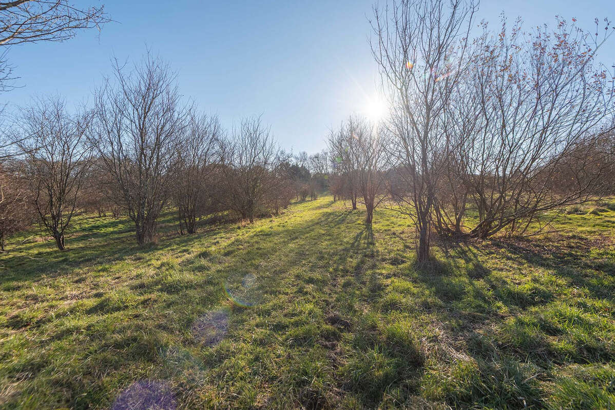 Proche commerces - maison 5 chambres - 250 m2 - sur 7.55 ha - photo 2