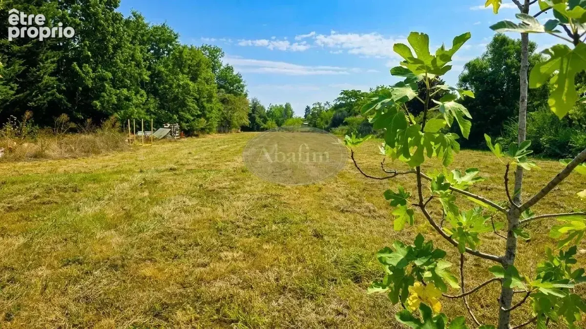 Terrain CU Ruisseau - photo 4