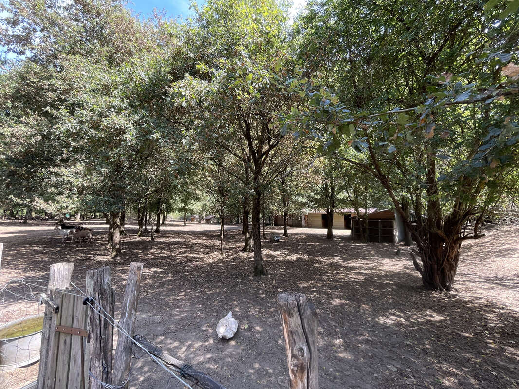 Propriete equestre sur yvre l évêque - photo 6