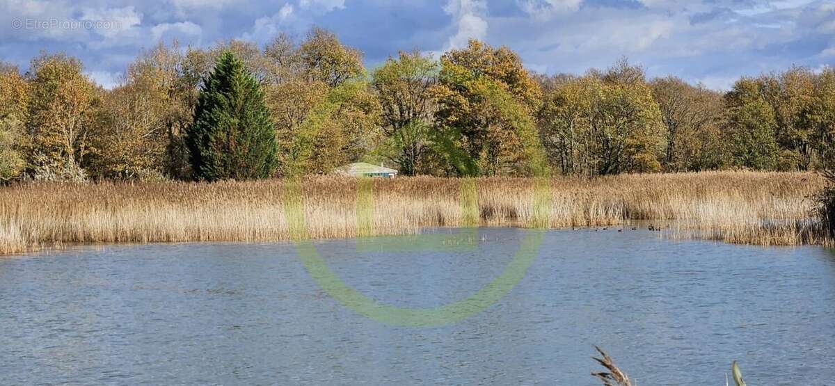 Terrain à MEZIERES-EN-BRENNE