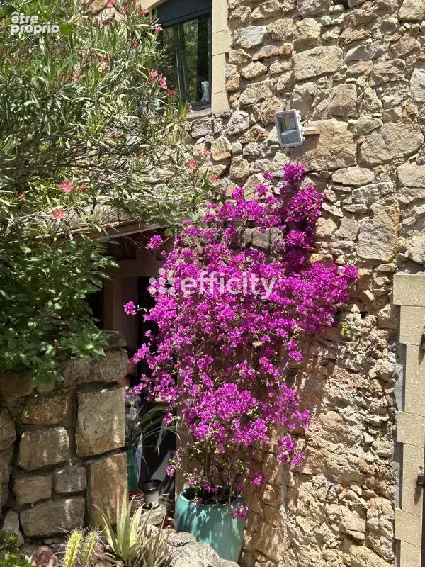 Maison en pierres - photo 2