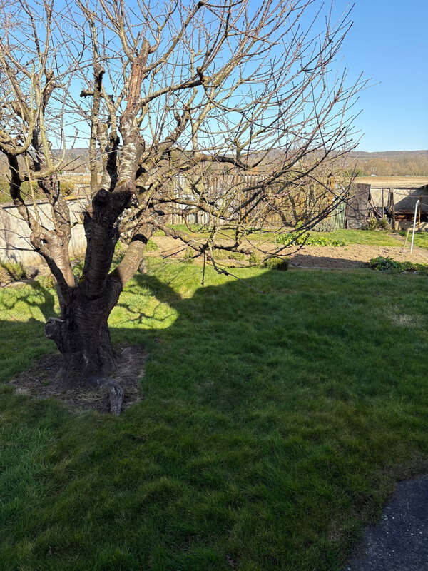 Maison à LA CHAPELLE-REANVILLE