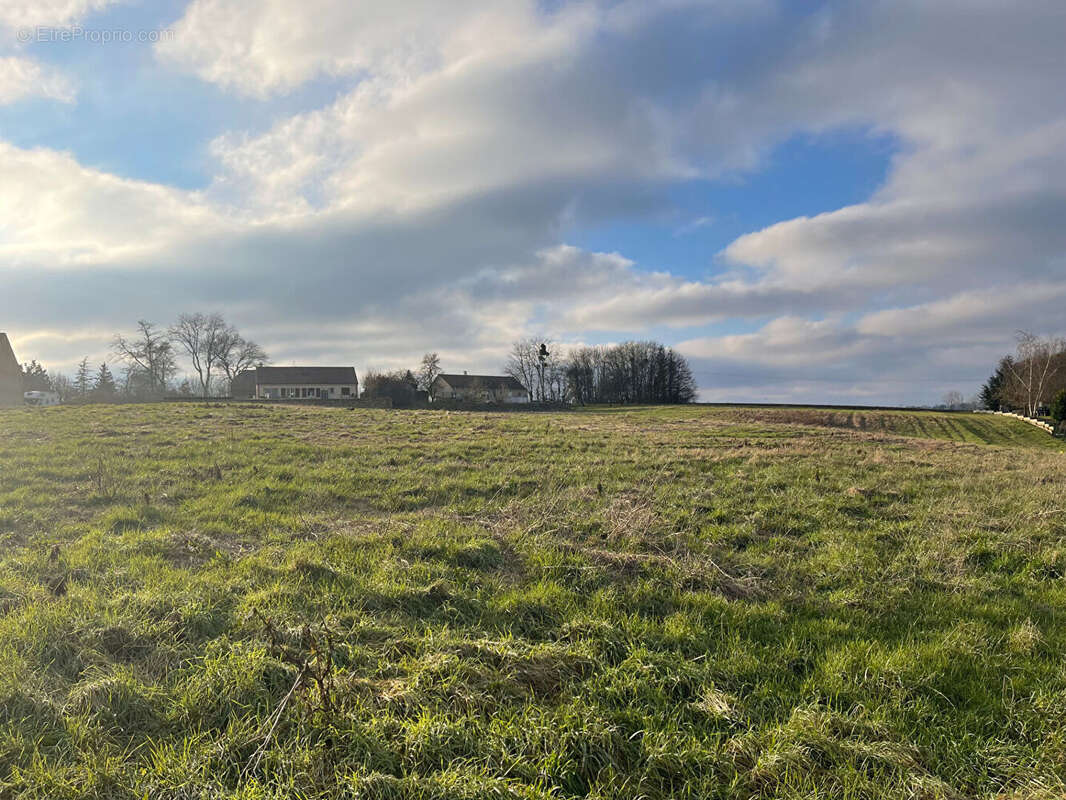 Terrain à MONTMORT-LUCY