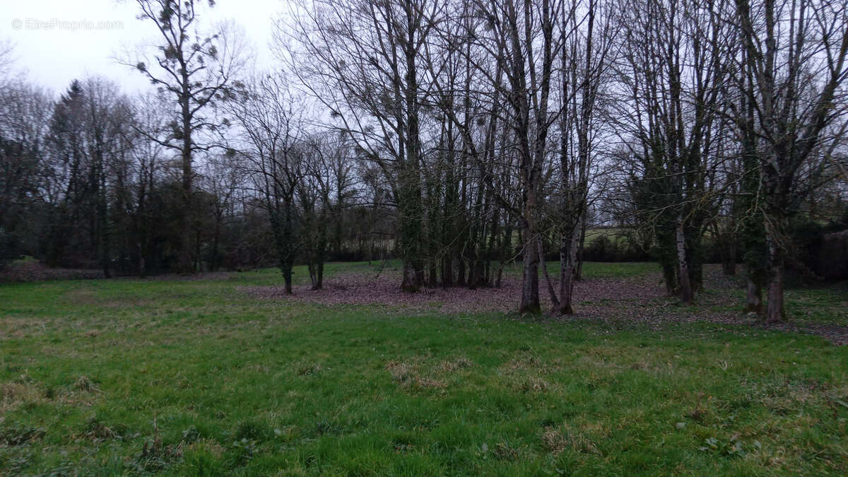 Terrain à MAZIERES-EN-GATINE