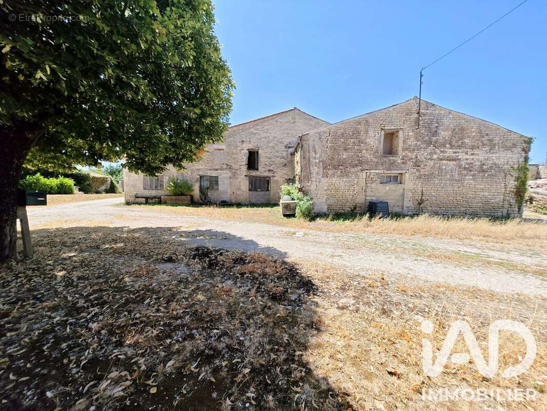 Maison 190 m² à Paille  - photo 5