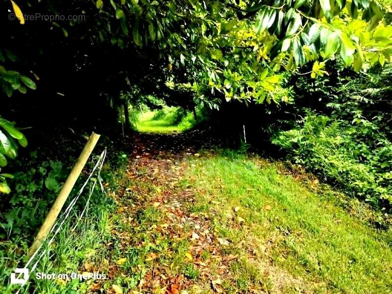 Maison entièrement rénovée  + de 3 hectares  4 dépendances  Au cœur des Monts d'Arrée - photo 17