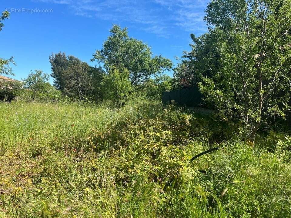 Terrain à LA FARLEDE