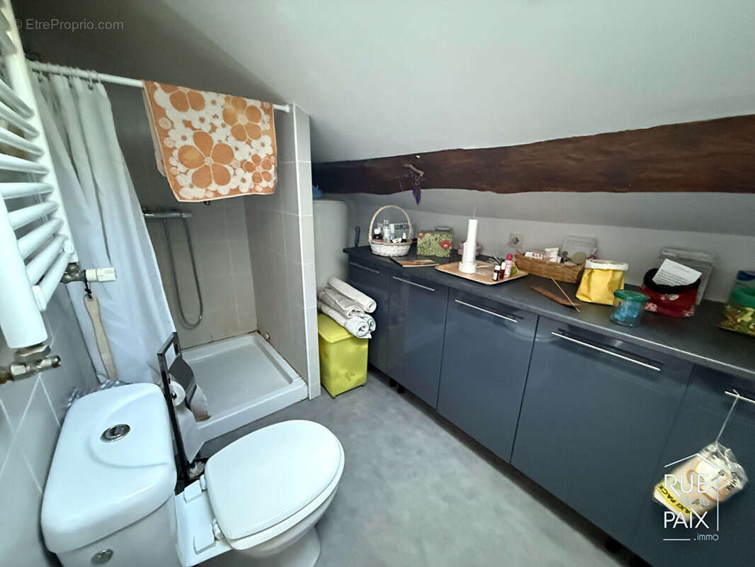 Ensemble immobilier Dangé-Saint-Romain  223m2 - photo 7