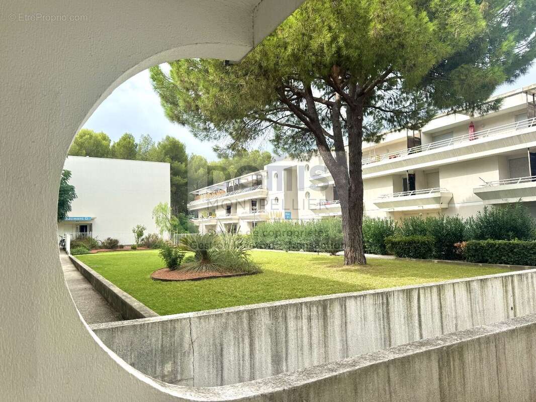 Appartement à MONTPELLIER
