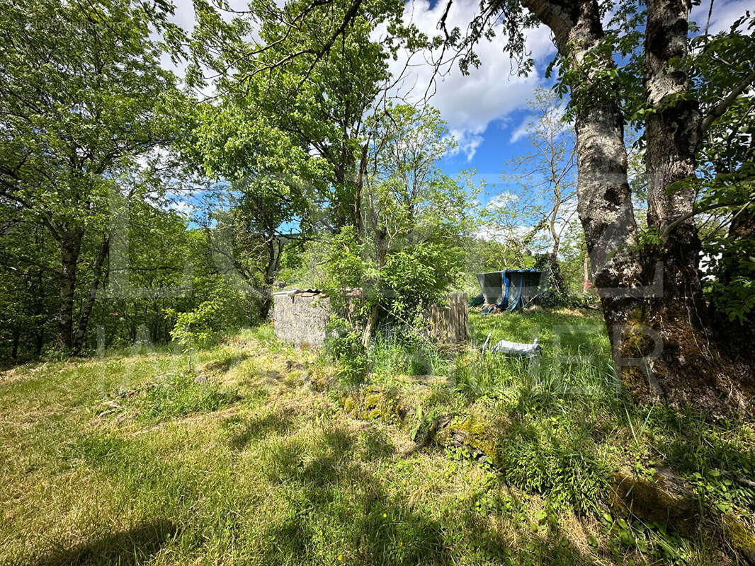 Maison Labastide Rouairoux - photo 8