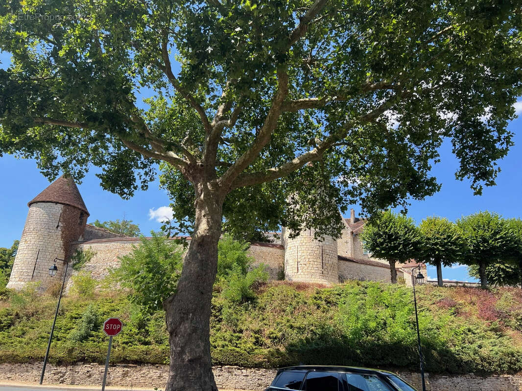 Maison de village en pierres sur cour et jardin clos - photo 16