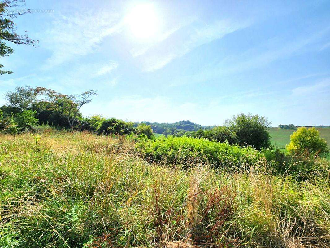 Maison à MONTFORT-EN-CHALOSSE