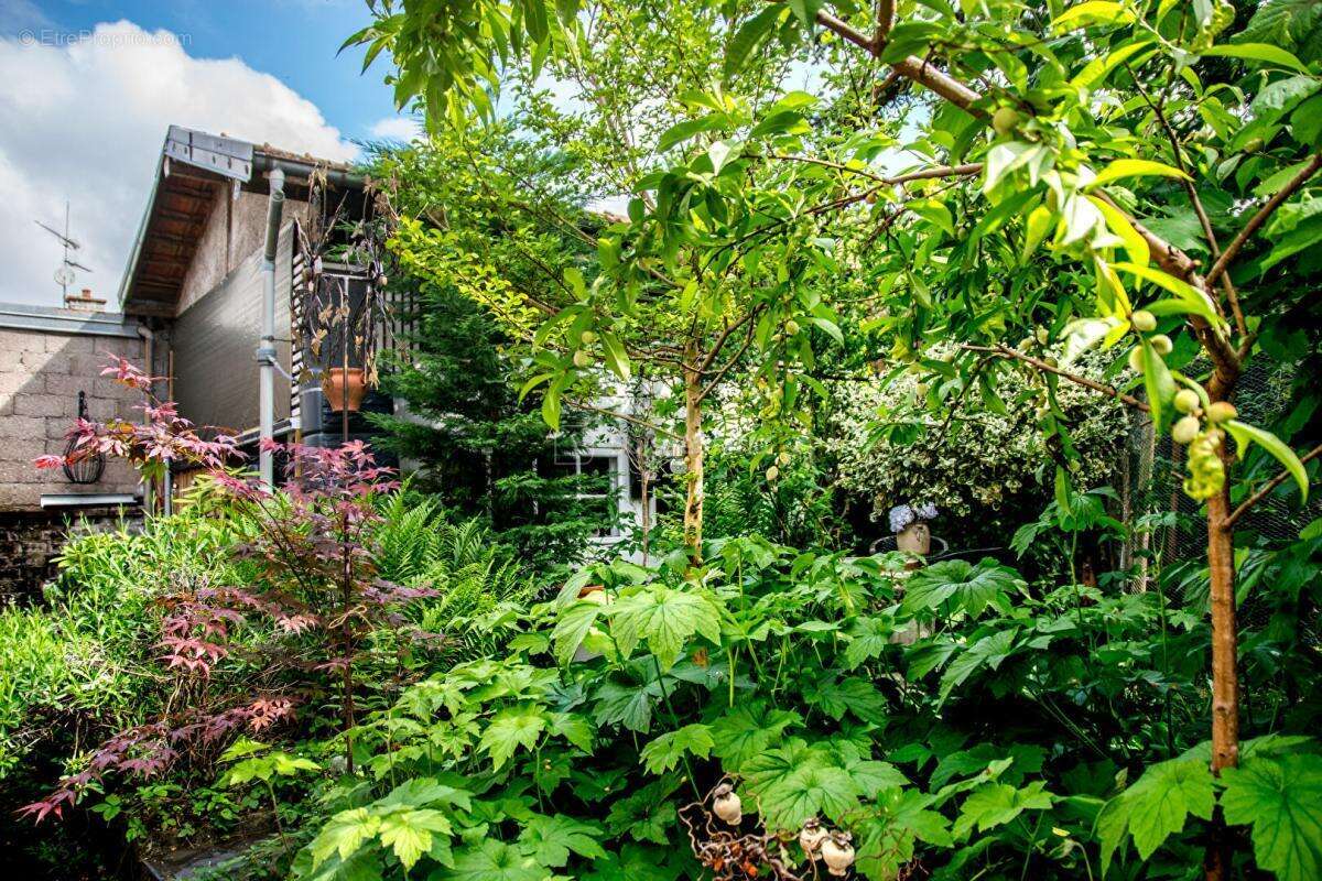 Maison à LUXEUIL-LES-BAINS