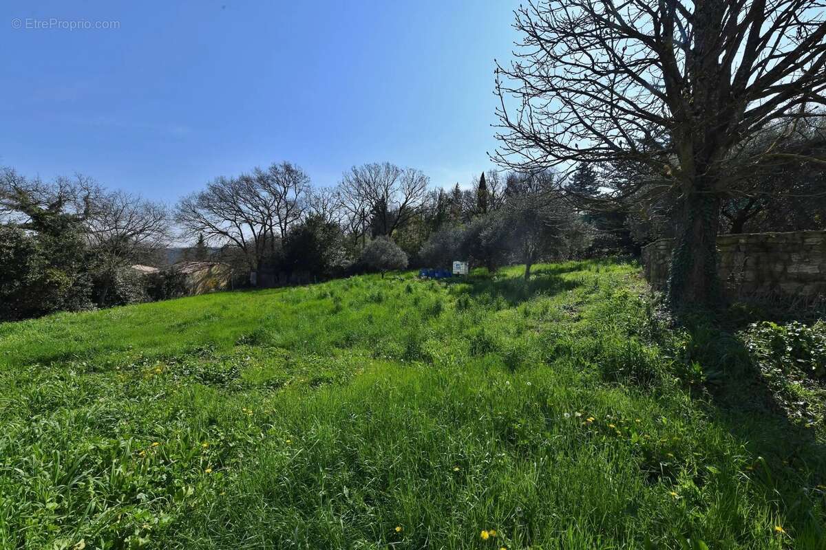 Maison sur terrain 2300m², rafraichissement à prévoir - photo 14
