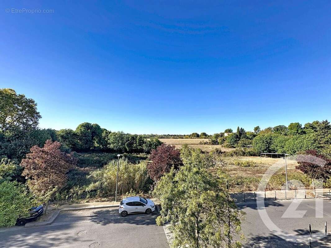 Photo 6 - Appartement à MONTPELLIER