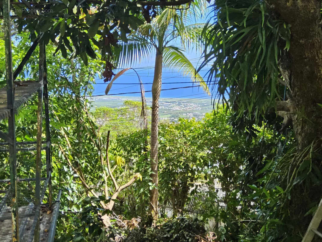 Photo 8 - Maison à SAINTE-MARIE