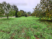 Terrain à PELLEGRUE