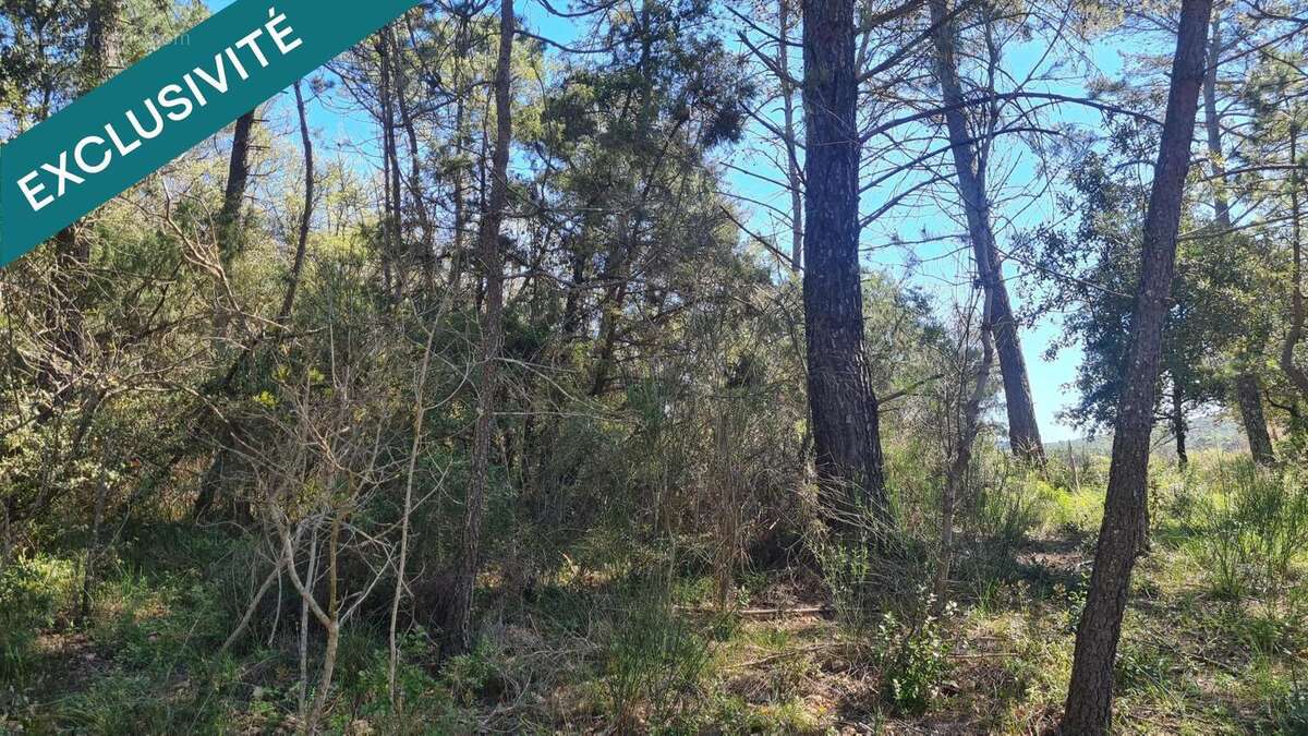 Photo 3 - Terrain à BESSE-SUR-ISSOLE