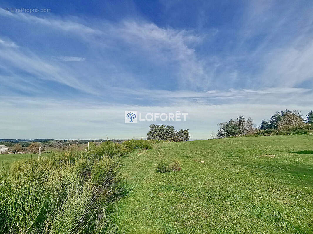 Terrain à CHAULHAC