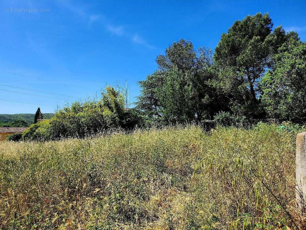 Terrain à CASSAGNOLES