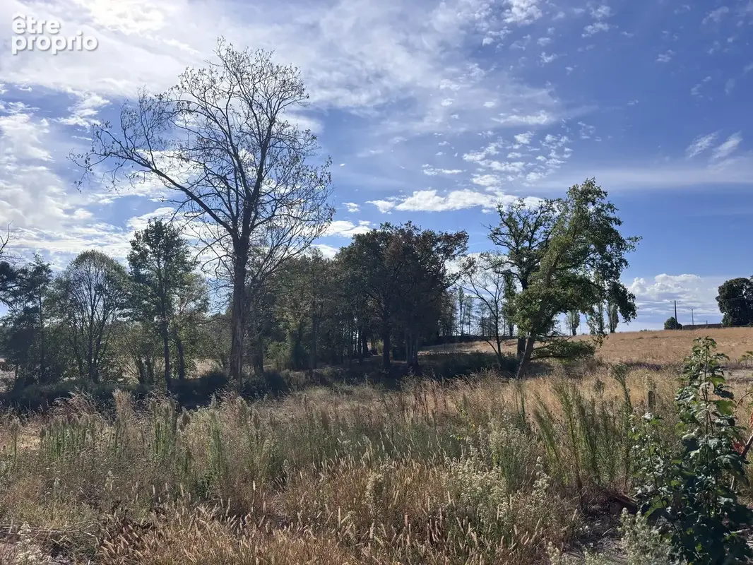 Le Donjon - Ferme à rénover avec une grande grange et des dépendances, sur un terrain de plus de 3 hectares co - photo 25