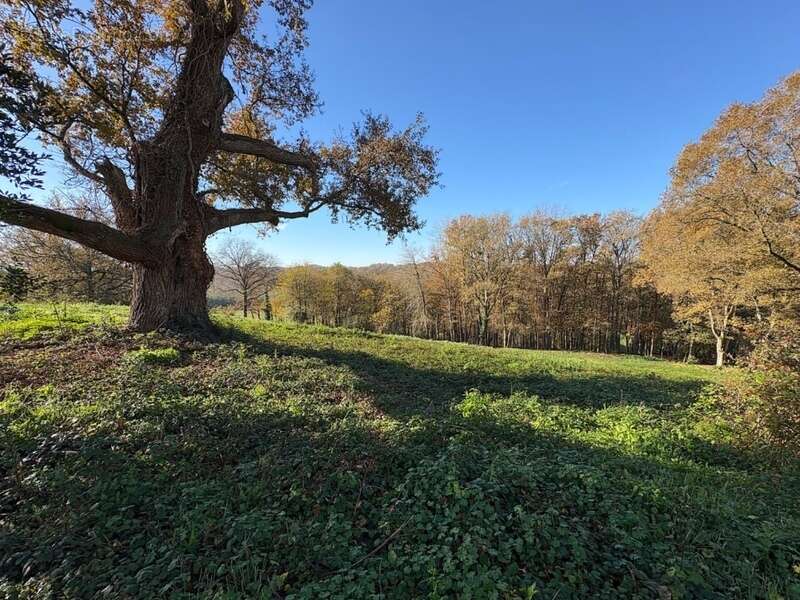 Maison à AIRE-SUR-L&#039;ADOUR